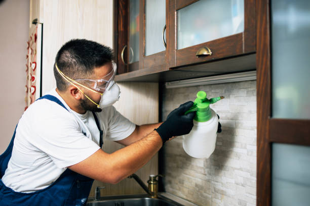  East End, AR Pest Control Pros
