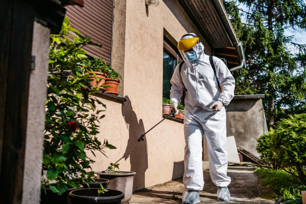 Best Insect Control  in East End, AR