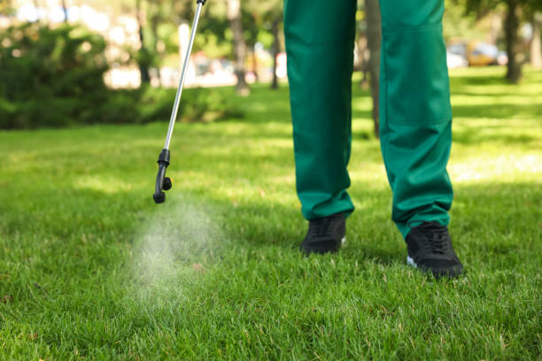 Best Best Pest Control Companies  in East End, AR