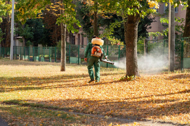 Best Flea Control Services  in East End, AR