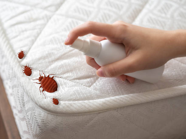 Best Pest Removal Services  in East End, AR