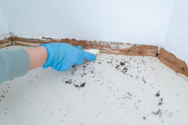 Insect Control in East End, AR