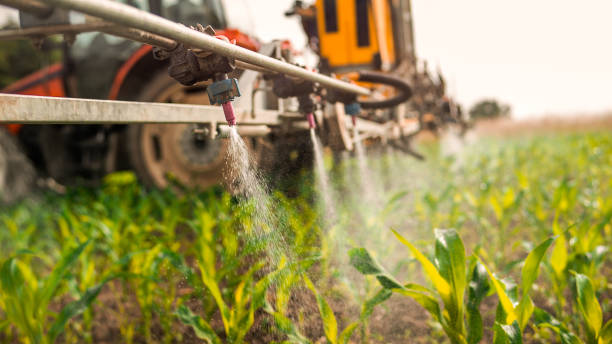 Best Mosquito Control Services  in East End, AR
